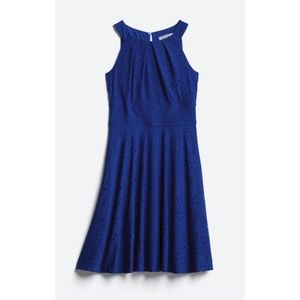 NWT Blue eyelet knit dress
